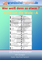 Rund um die Wale_A.pdf